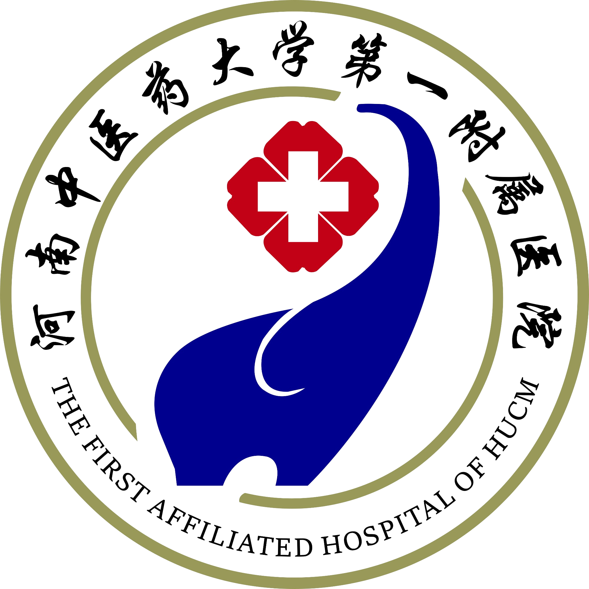 河南中医药大学第一附属医院